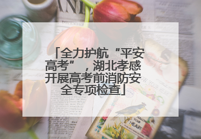 全力护航“平安高考”，湖北孝感开展高考前消防安全专项检查