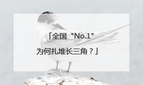 全国“No.1”为何扎堆长三角？
