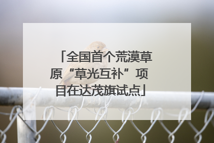 全国首个荒漠草原“草光互补”项目在达茂旗试点