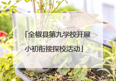 全椒县第九学校开展小初衔接探校活动