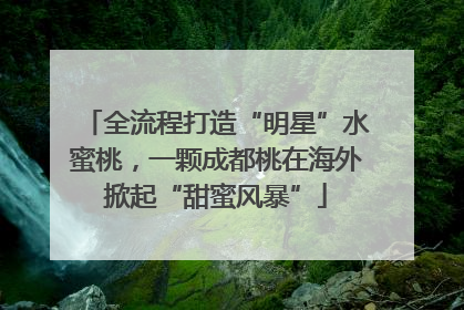 全流程打造“明星”水蜜桃，一颗成都桃在海外掀起“甜蜜风暴”