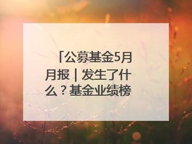 公募基金5月月报｜发生了什么？基金业绩榜变化这么大！