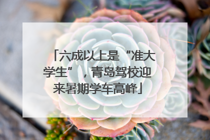 六成以上是“准大学生”，青岛驾校迎来暑期学车高峰