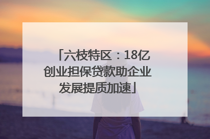 六枝特区：18亿创业担保贷款助企业发展提质加速