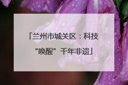 兰州市城关区：科技“唤醒”千年非遗