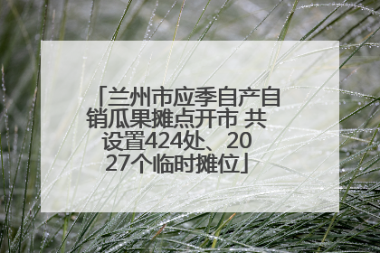 兰州市应季自产自销瓜果摊点开市 共设置424处、2027个临时摊位