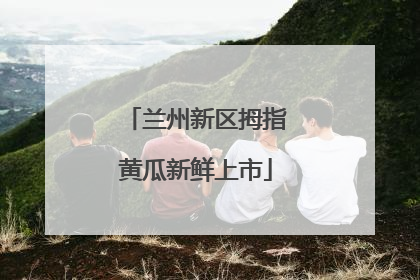兰州新区拇指黄瓜新鲜上市