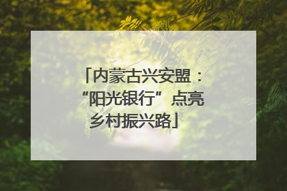 内蒙古兴安盟：“阳光银行”点亮乡村振兴路