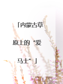 内蒙古草原上的“爱马士”