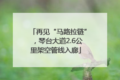 再见“马路拉链”，琴台大道2.6公里架空管线入廊