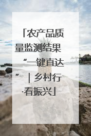 农产品质量监测结果“一键直达”｜乡村行·看振兴