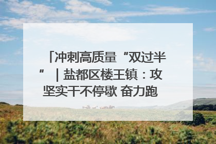 冲刺高质量“双过半”｜盐都区楼王镇：攻坚实干不停歇 奋力跑赢“上半场”