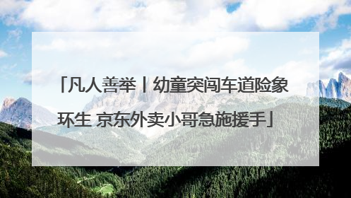 凡人善举丨幼童突闯车道险象环生 京东外卖小哥急施援手