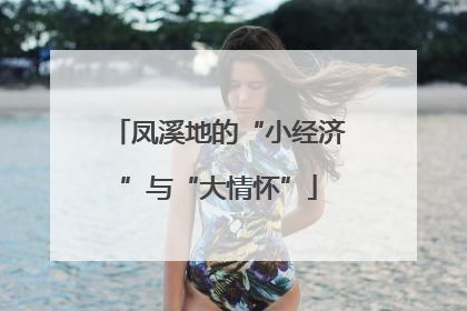 凤溪地的“小经济”与“大情怀”