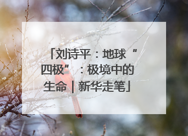 刘诗平：地球“四极”：极境中的生命｜新华走笔