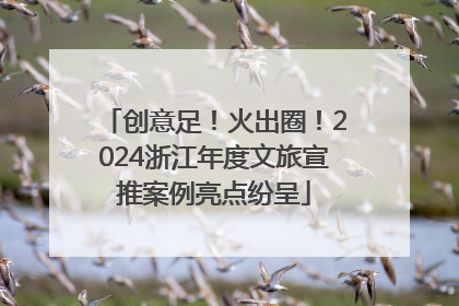 创意足！火出圈！2024浙江年度文旅宣推案例亮点纷呈