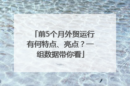 前5个月外贸运行有何特点、亮点？一组数据带你看