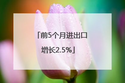 前5个月进出口增长2.5%