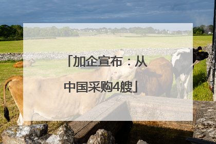 加企宣布：从中国采购4艘