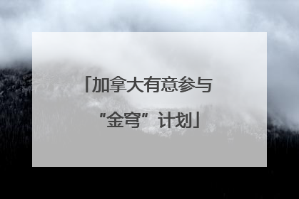 加拿大有意参与“金穹”计划