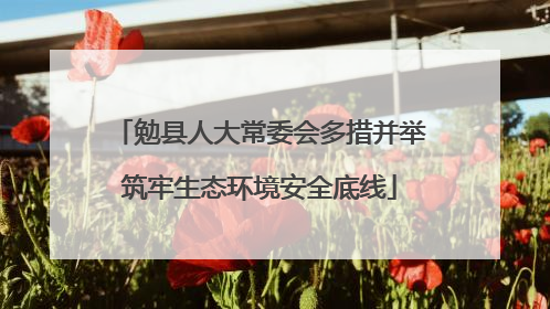 勉县人大常委会多措并举筑牢生态环境安全底线