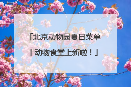 北京动物园夏日菜单丨动物食堂上新啦！