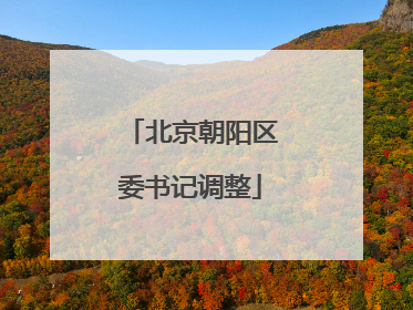 北京朝阳区委书记调整