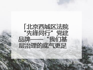 北京西城区法院“先锋同行”党建品牌——“我们基层治理的底气更足了！”