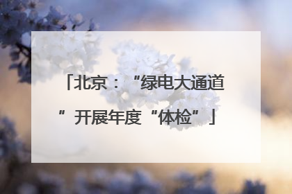 北京：“绿电大通道”开展年度“体检”