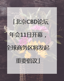 北京CBD论坛年会11日开幕，全球商务区将发起重要倡议