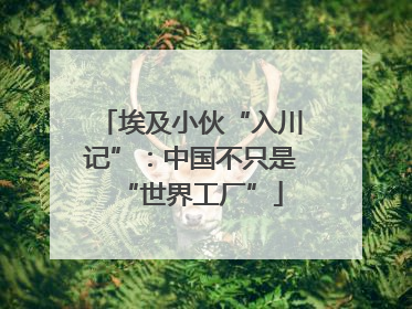 埃及小伙“入川记”：中国不只是“世界工厂”