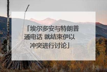 埃尔多安与特朗普通电话 就结束伊以冲突进行讨论