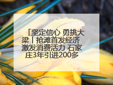 坚定信心 勇挑大梁丨抢滩首发经济 激发消费活力 石家庄3年引进200多家品牌首店