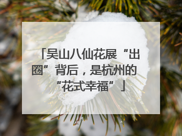 吴山八仙花展“出圈”背后，是杭州的“花式幸福”