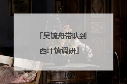 吴毓舟带队到西坪镇调研