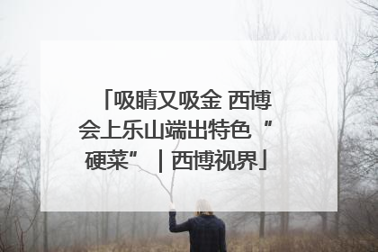吸睛又吸金 西博会上乐山端出特色“硬菜”｜西博视界