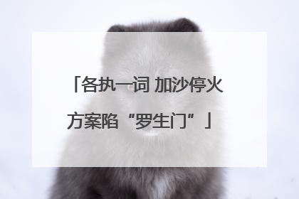 各执一词 加沙停火方案陷“罗生门”