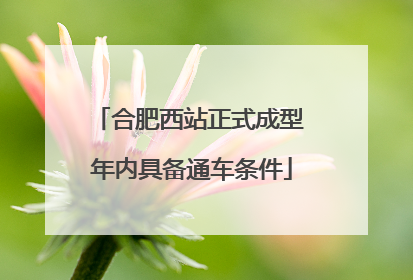 合肥西站正式成型 年内具备通车条件