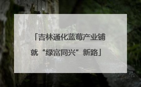 吉林通化蓝莓产业铺就“绿富同兴”新路