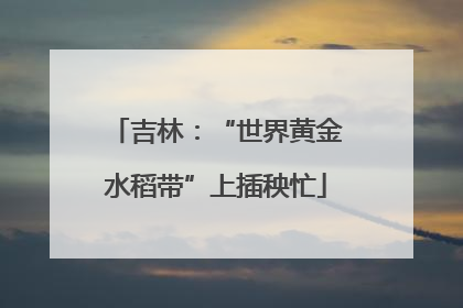 吉林：“世界黄金水稻带”上插秧忙