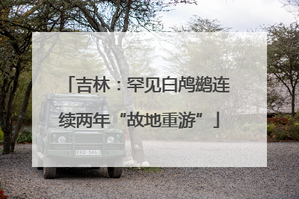吉林：罕见白鸬鹚连续两年“故地重游”