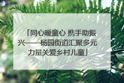 同心暖童心 携手助振兴——杨园街道汇聚多元力量关爱乡村儿童