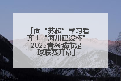 向“苏超”学习看齐！“海川建设杯”2025青岛城市足球联赛开幕
