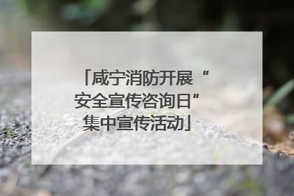 咸宁消防开展“安全宣传咨询日”集中宣传活动