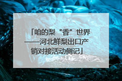 咱的梨“香”世界——河北鲜梨出口产销对接活动侧记
