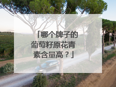 哪个牌子的葡萄籽原花青素含量高？