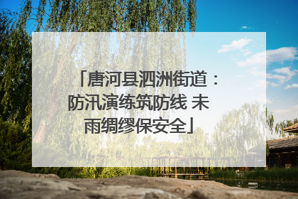 唐河县泗洲街道：防汛演练筑防线 未雨绸缪保安全