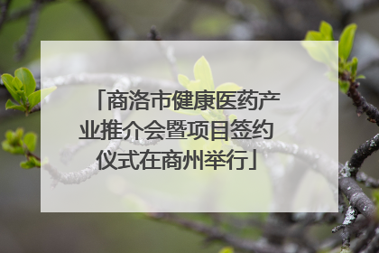 商洛市健康医药产业推介会暨项目签约仪式在商州举行
