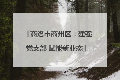 商洛市商州区：建强党支部 赋能新业态