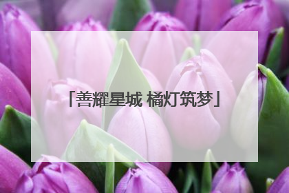 善耀星城 橘灯筑梦